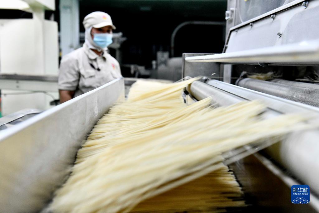 闲逸棋牌官方网站